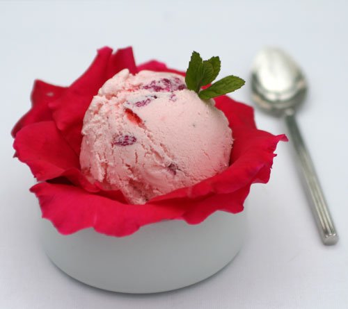rose-petal-Icecream-photo-by-Hester-Casey