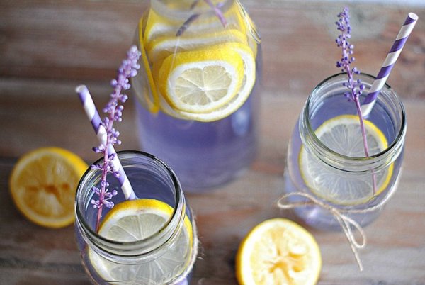 lavender4
